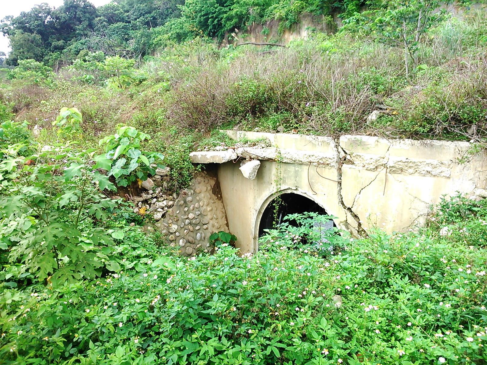北溝故宮文物典藏山洞登錄臺中市歷史建築